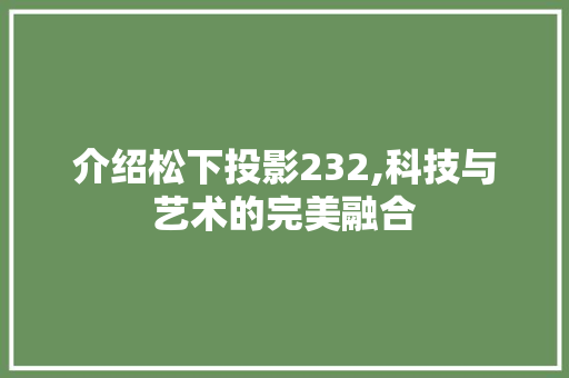 介绍松下投影232,科技与艺术的完美融合