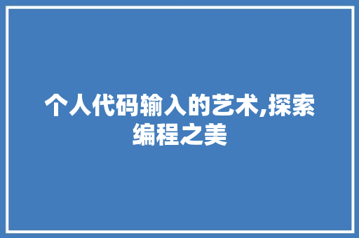 个人代码输入的艺术,探索编程之美