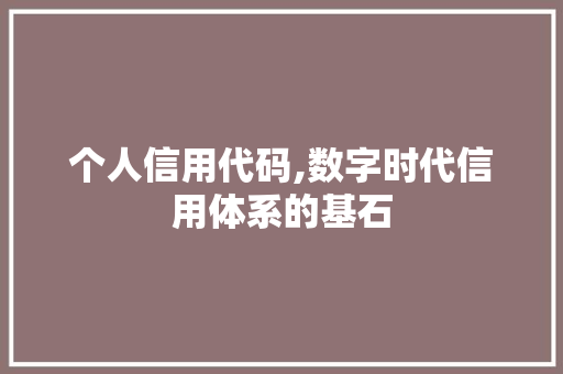 个人信用代码,数字时代信用体系的基石