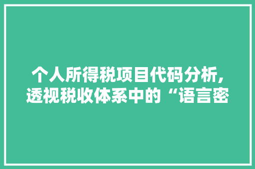 个人所得税项目代码分析,透视税收体系中的“语言密码”