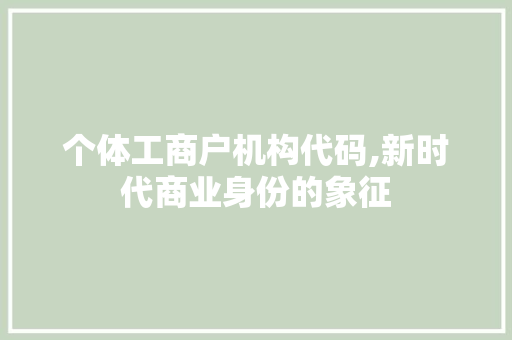 个体工商户机构代码,新时代商业身份的象征