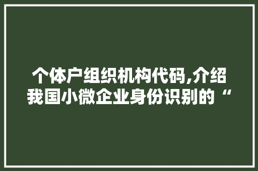 个体户组织机构代码,介绍我国小微企业身份识别的“身份证”