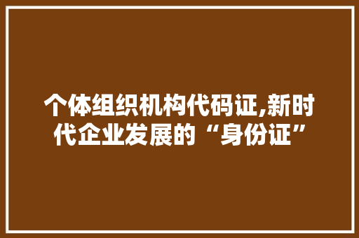 个体组织机构代码证,新时代企业发展的“身份证”