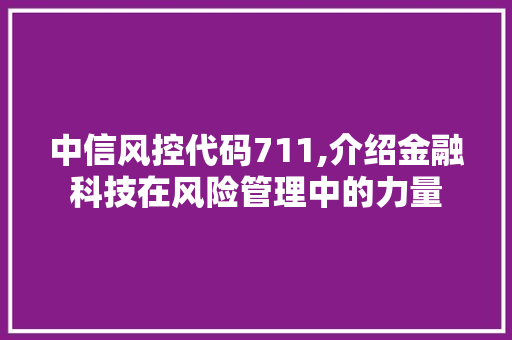 中信风控代码711,介绍金融科技在风险管理中的力量