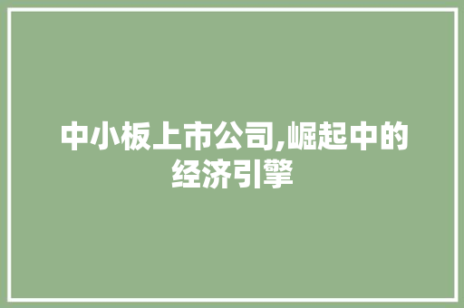 中小板上市公司,崛起中的经济引擎