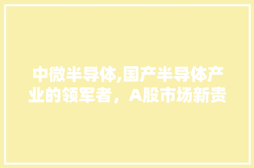 中微半导体,国产半导体产业的领军者，A股市场新贵崛起