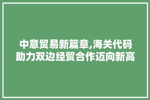 中意贸易新篇章,海关代码助力双边经贸合作迈向新高度