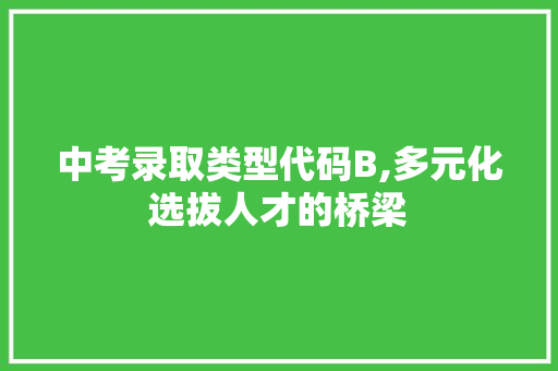 中考录取类型代码B,多元化选拔人才的桥梁