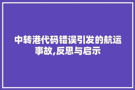 中转港代码错误引发的航运事故,反思与启示