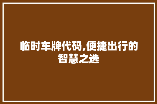 临时车牌代码,便捷出行的智慧之选