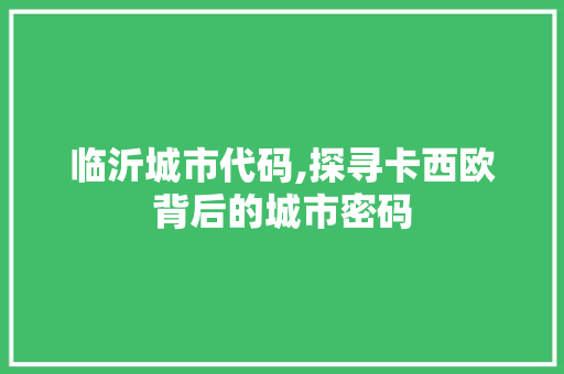 临沂城市代码,探寻卡西欧背后的城市密码