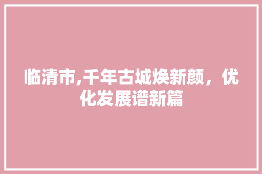 临清市,千年古城焕新颜，优化发展谱新篇