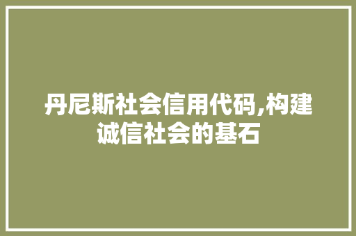 丹尼斯社会信用代码,构建诚信社会的基石