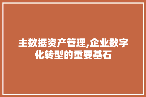 主数据资产管理,企业数字化转型的重要基石