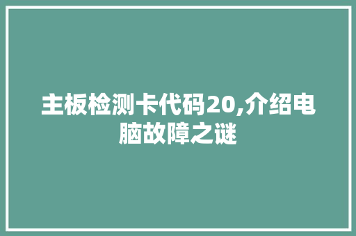 主板检测卡代码20,介绍电脑故障之谜