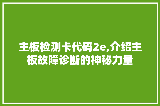 主板检测卡代码2e,介绍主板故障诊断的神秘力量