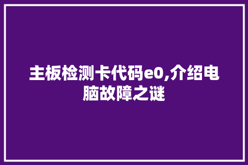 主板检测卡代码e0,介绍电脑故障之谜