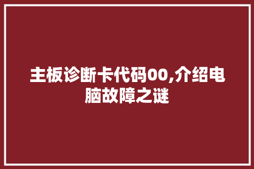 主板诊断卡代码00,介绍电脑故障之谜