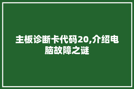 主板诊断卡代码20,介绍电脑故障之谜