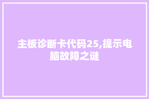 主板诊断卡代码25,提示电脑故障之谜