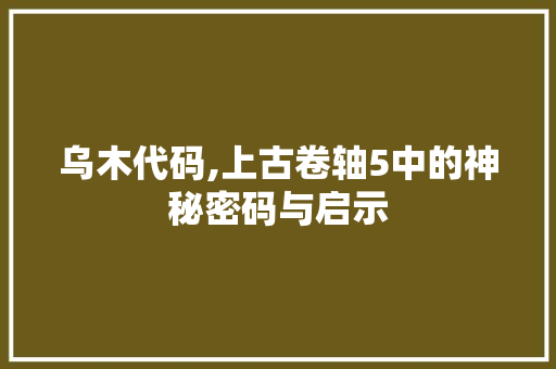 乌木代码,上古卷轴5中的神秘密码与启示