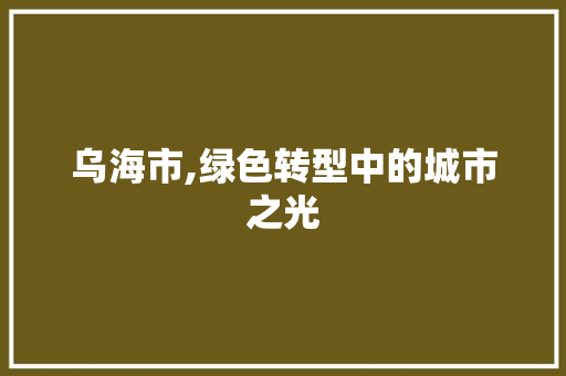 乌海市,绿色转型中的城市之光