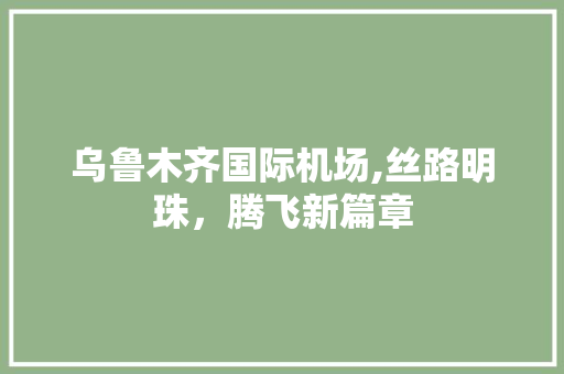 乌鲁木齐国际机场,丝路明珠，腾飞新篇章