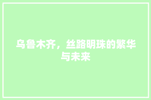 乌鲁木齐，丝路明珠的繁华与未来