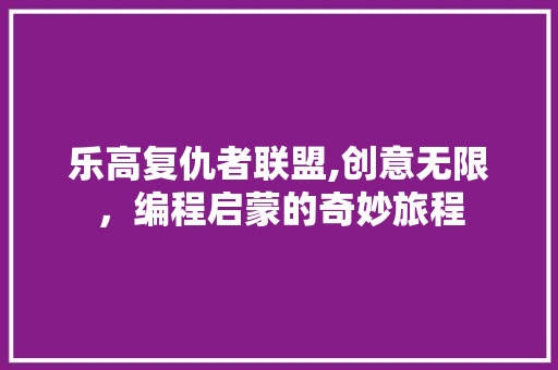 乐高复仇者联盟,创意无限，编程启蒙的奇妙旅程