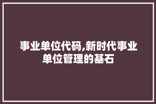 事业单位代码,新时代事业单位管理的基石