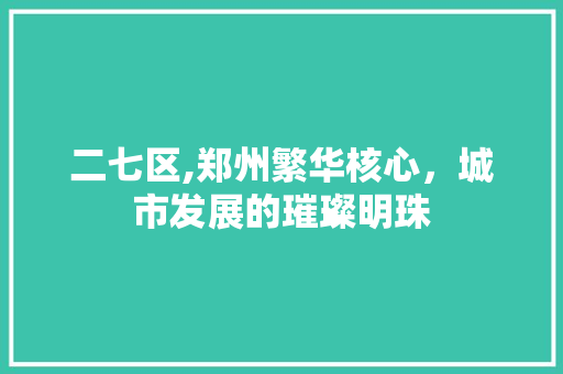 二七区,郑州繁华核心，城市发展的璀璨明珠