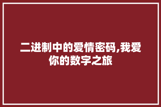 二进制中的爱情密码,我爱你的数字之旅