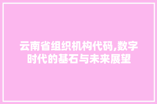 云南省组织机构代码,数字时代的基石与未来展望 jQuery