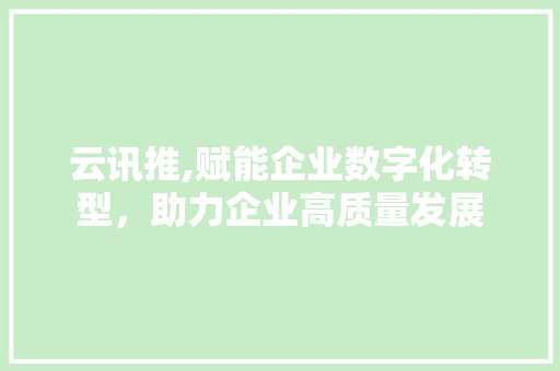 云讯推,赋能企业数字化转型，助力企业高质量发展