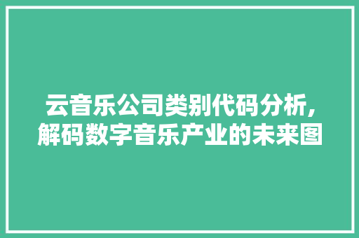 云音乐公司类别代码分析,解码数字音乐产业的未来图景