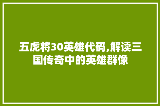 五虎将30英雄代码,解读三国传奇中的英雄群像