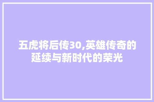 五虎将后传30,英雄传奇的延续与新时代的荣光