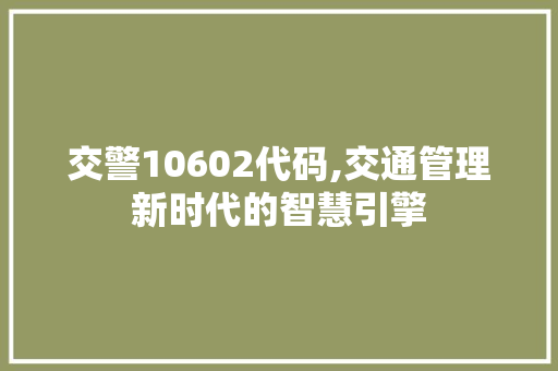 交警10602代码,交通管理新时代的智慧引擎