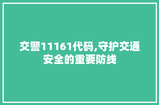 交警11161代码,守护交通安全的重要防线