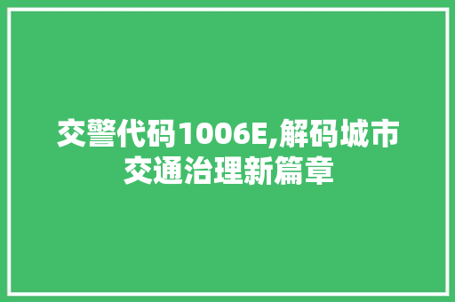 交警代码1006E,解码城市交通治理新篇章