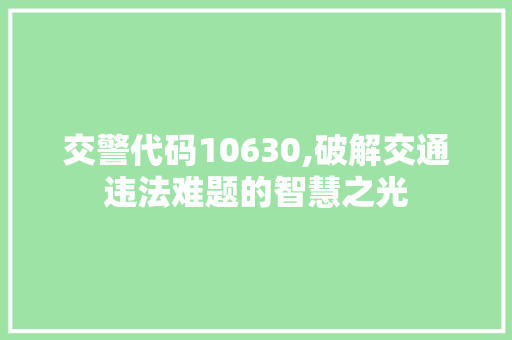 交警代码10630,破解交通违法难题的智慧之光