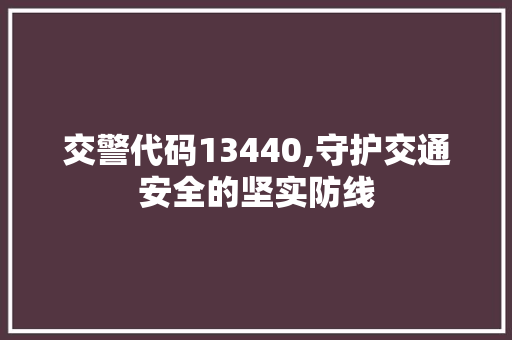 交警代码13440,守护交通安全的坚实防线