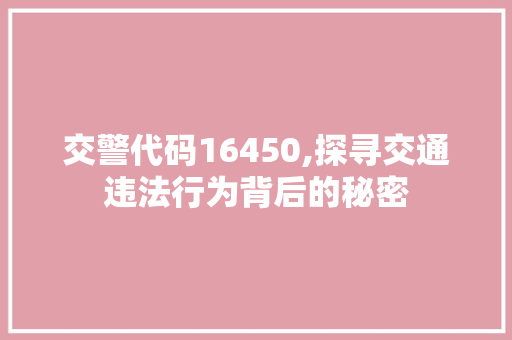 交警代码16450,探寻交通违法行为背后的秘密