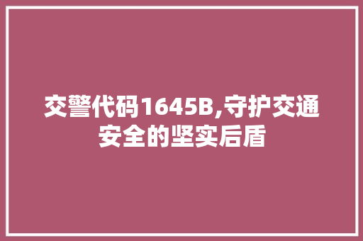 交警代码1645B,守护交通安全的坚实后盾