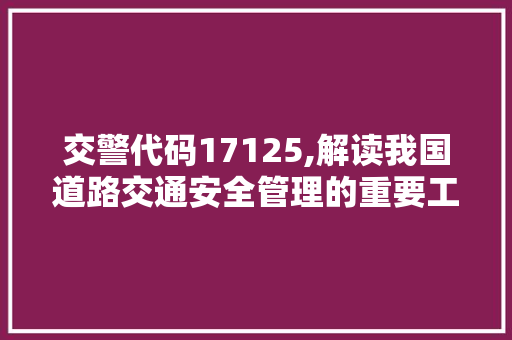 交警代码17125,解读我国道路交通安全管理的重要工具