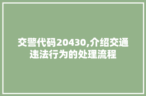 交警代码20430,介绍交通违法行为的处理流程