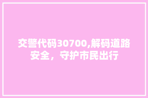 交警代码30700,解码道路安全，守护市民出行