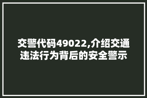 交警代码49022,介绍交通违法行为背后的安全警示