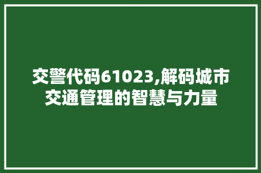 交警代码61023,解码城市交通管理的智慧与力量