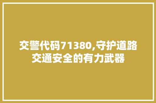 交警代码71380,守护道路交通安全的有力武器